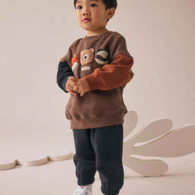 Brown Animal Single Sweatshirt and Joggers Set (3mths-7yrs) Immediate