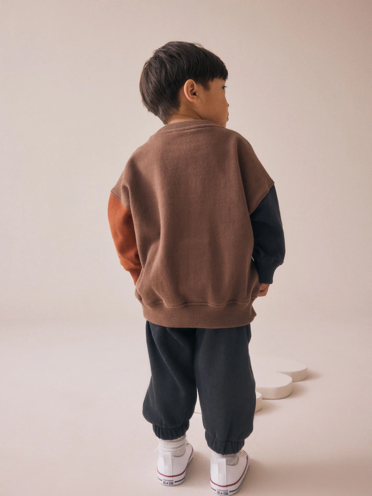 F15044s3.jpg Brown Animal Single Sweatshirt and Joggers Set (3mths-7yrs) Immediate - Image 2
