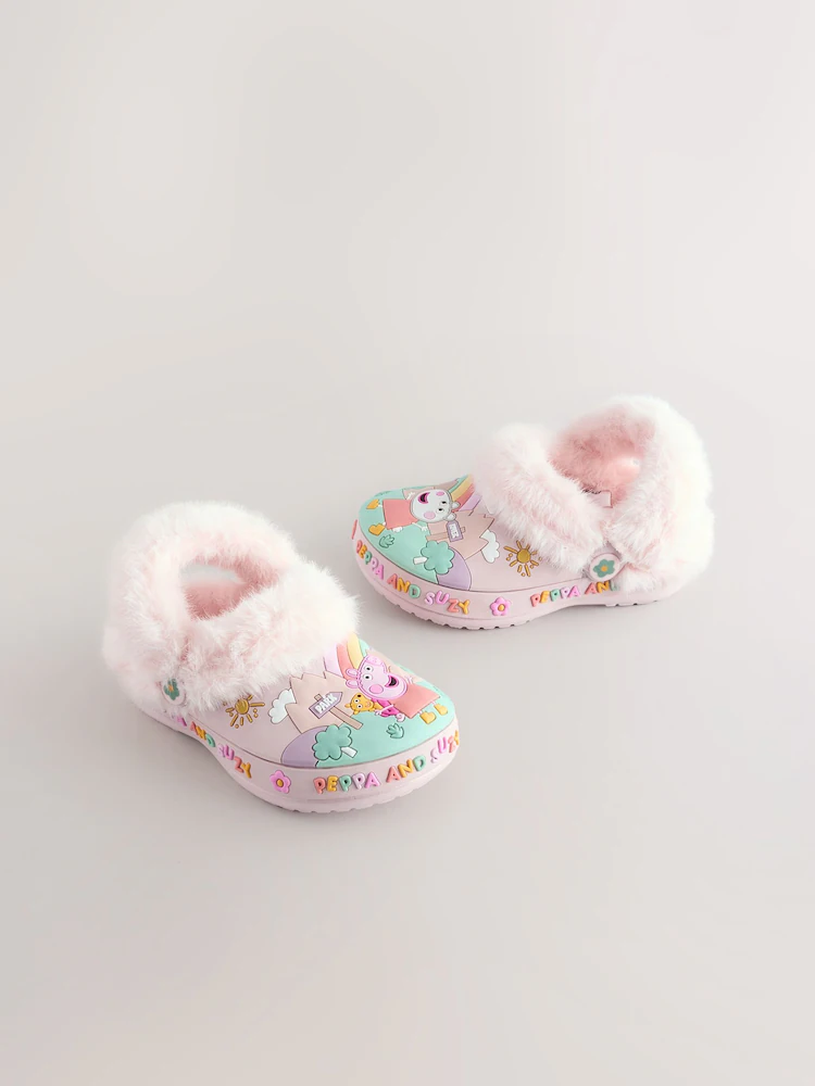 am8670s4 am8670s4